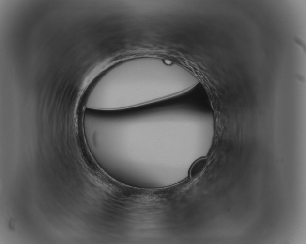 X0000092010246200709061315