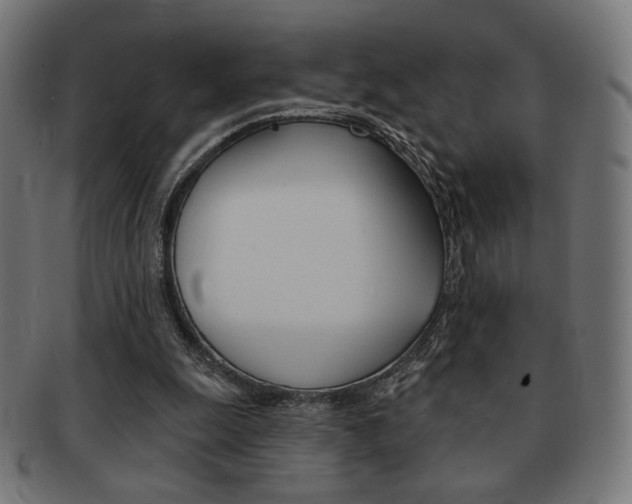 X0000092010247200709061315