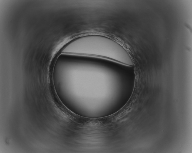 X0000092010248200709061315