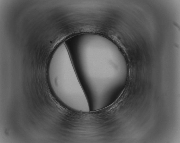 X0000092010249200709061315
