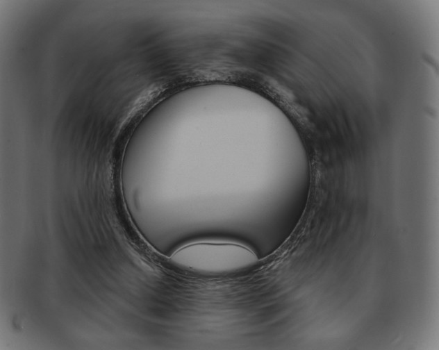 X0000092010250200709061315