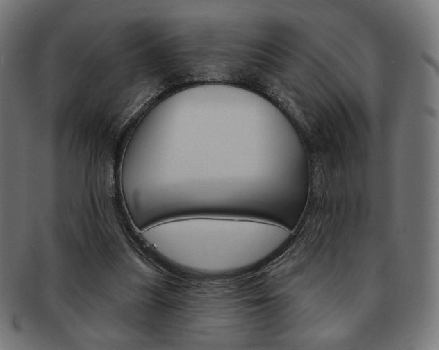X0000092010251200709061315