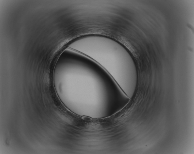 X0000092010252200709061315