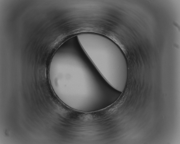 X0000092010253200709061315