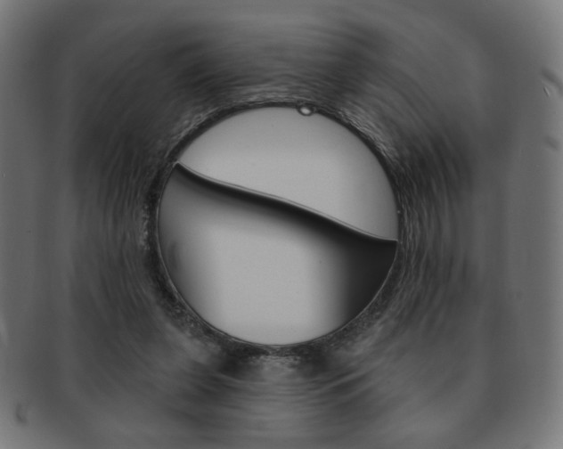 X0000092010255200709061315