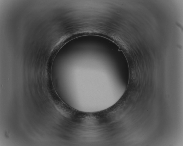 X0000092010256200709061315