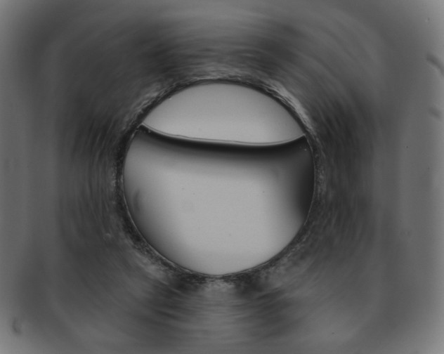 X0000092010257200709061315