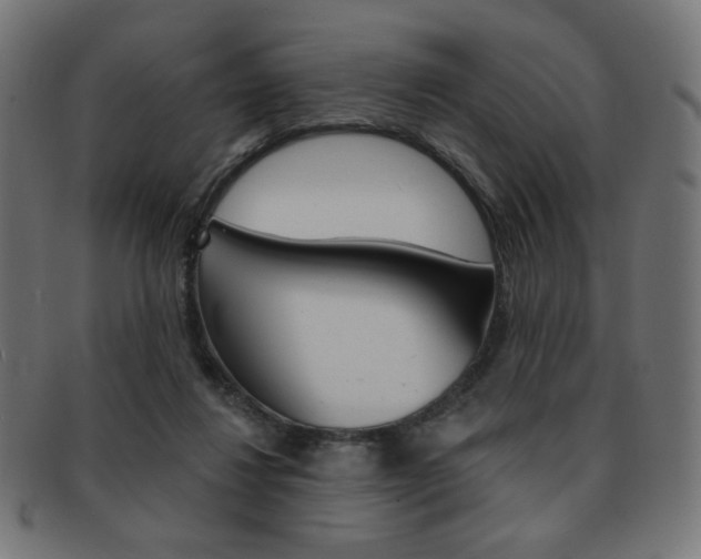 X0000092010260200709061315