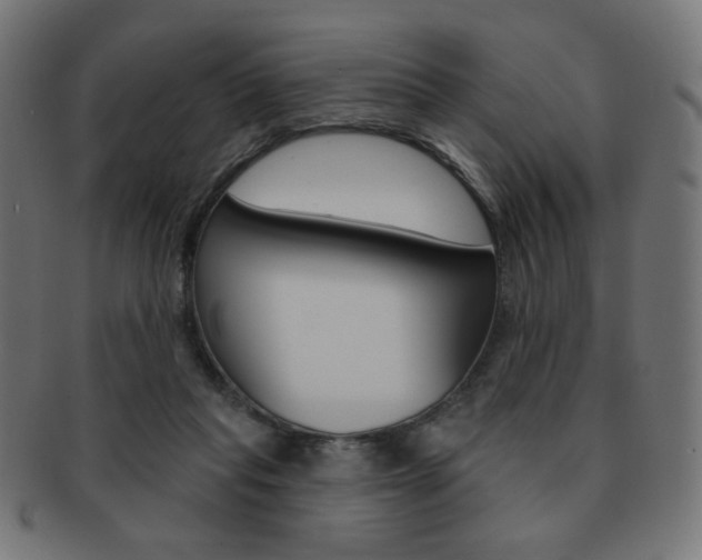 X0000092010261200709061315