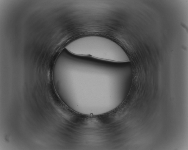 X0000092010262200709061315