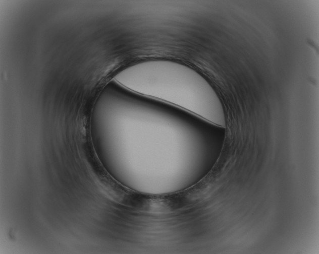 X0000092010264200709061315