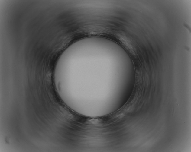 X0000092010269200709061315