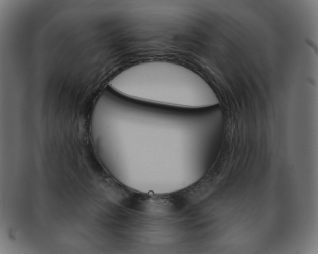 X0000092010270200709061315