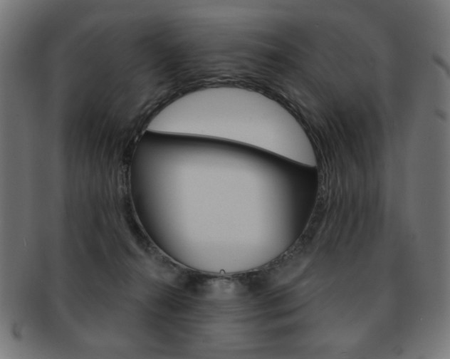 X0000092010272200709061315