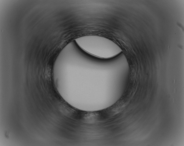 X0000092010274200709061315