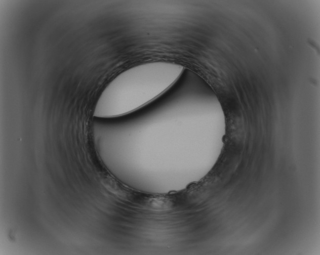 X0000092010275200709061315