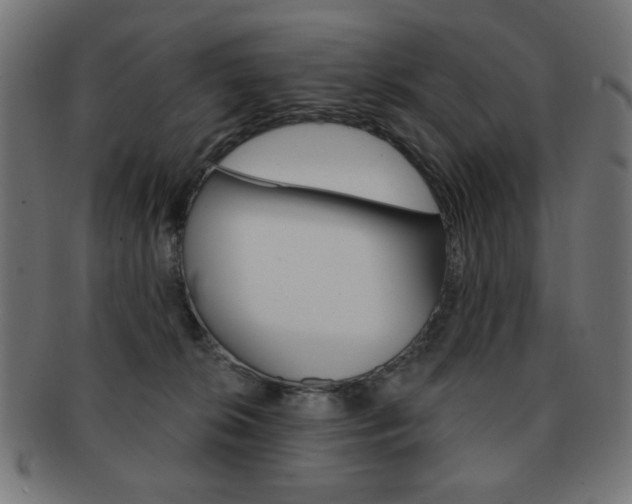 X0000092010276200709061315