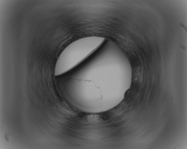 X0000092010279200709061315