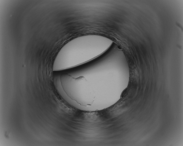 X0000092010281200709061315