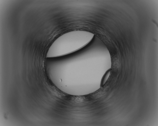 X0000092010282200709061315