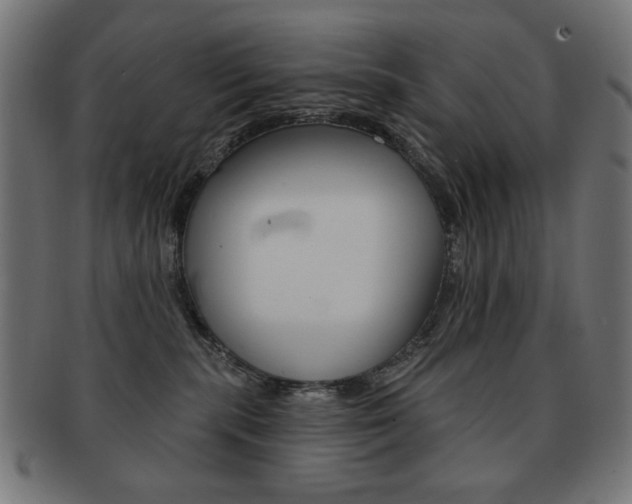 X0000092010283200709061315