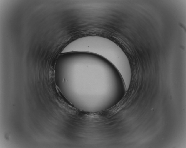 X0000092010284200709061315