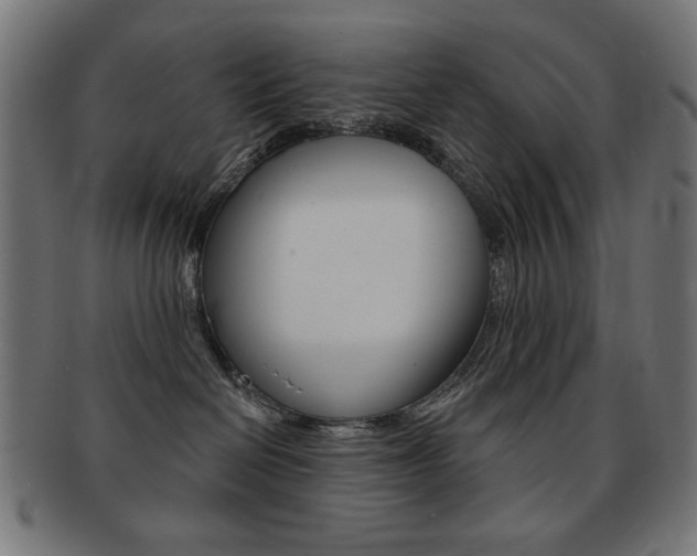 X0000092010286200709061315