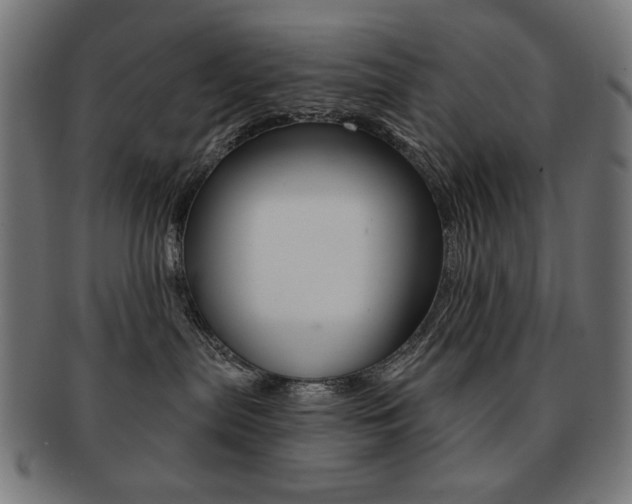 X0000092010287200709061315