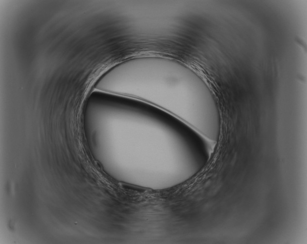 X0000092010289200709061315