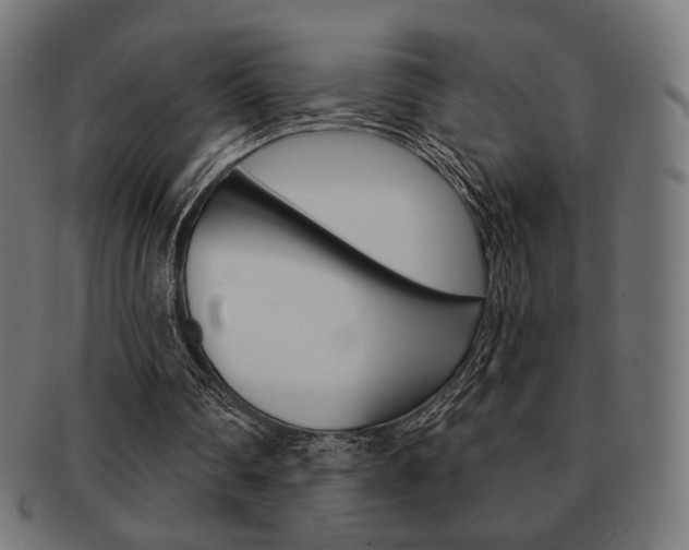 X0000092010290200709061315