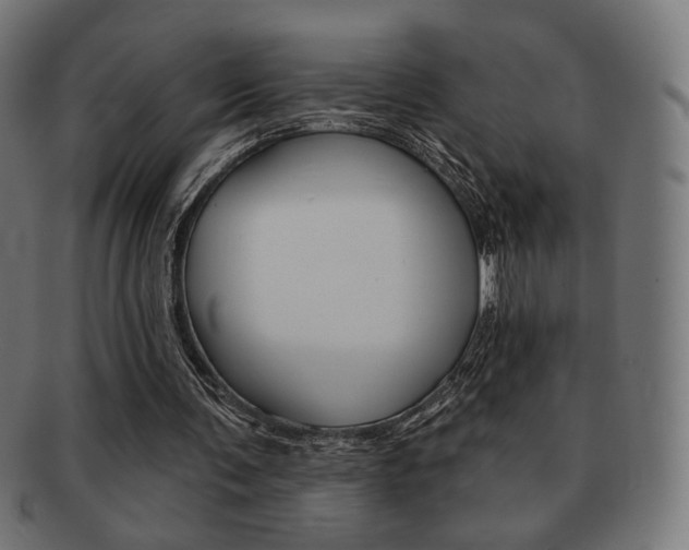 X0000092010291200709061315