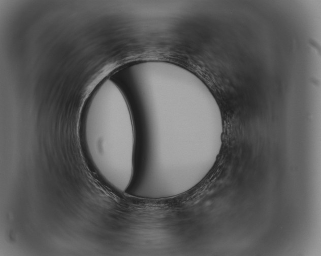 X0000092010292200709061315