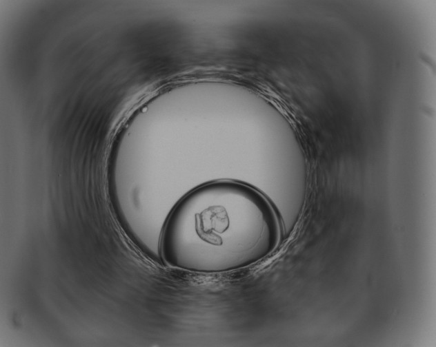 X0000092010293200709061315