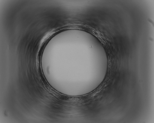 X0000092010294200709061315