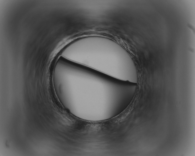X0000092010295200709061315