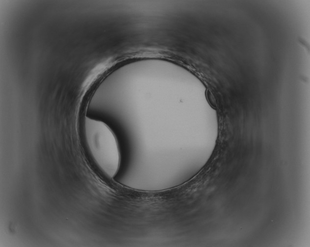 X0000092010296200709061315