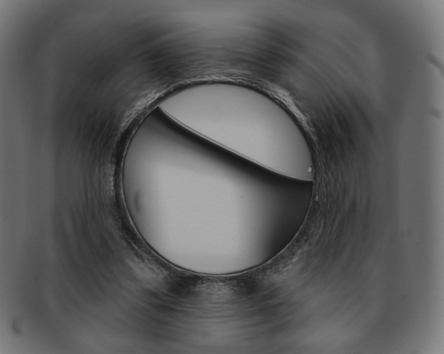 X0000092010299200709061315
