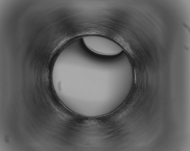 X0000092010300200709061315