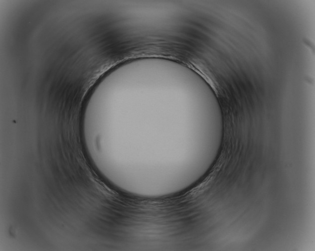 X0000092010301200709061315