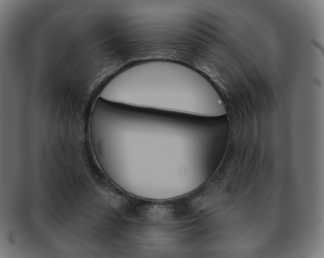 X0000092010303200709061315