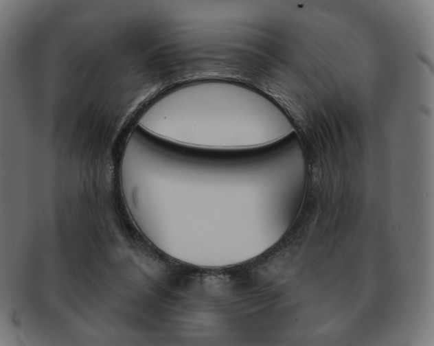 X0000092010304200709061315