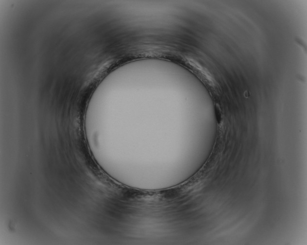 X0000092010306200709061315