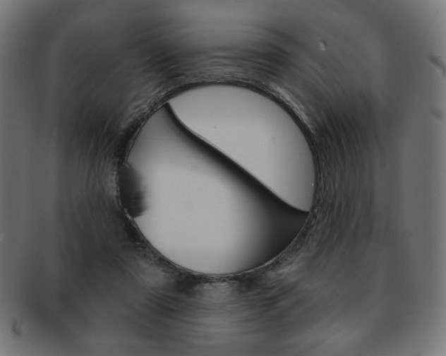 X0000092010307200709061314