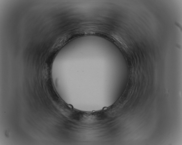 X0000092010311200709061314