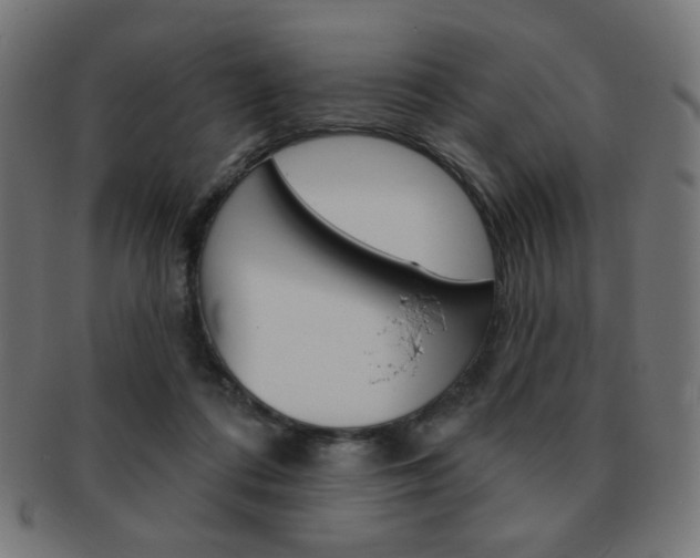 X0000092010312200709061314