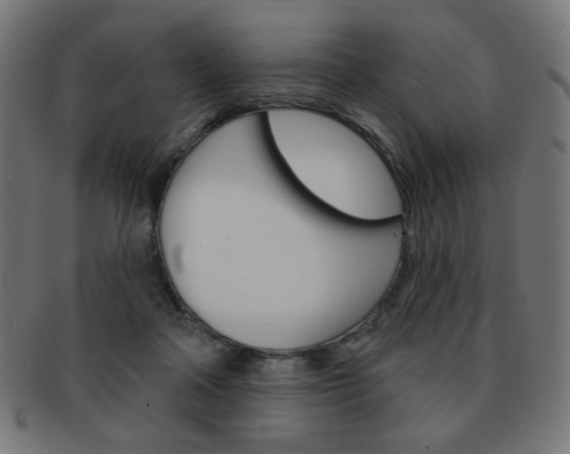 X0000092010314200709061314