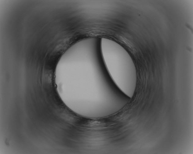 X0000092010315200709061314