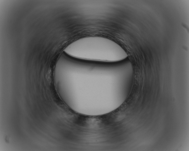 X0000092010319200709061314