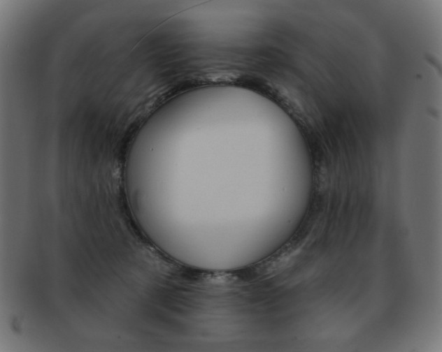 X0000092010321200709061314