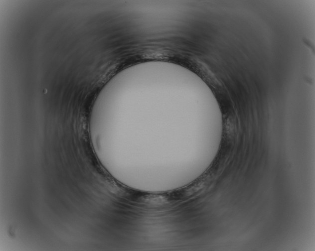 X0000092010322200709061314